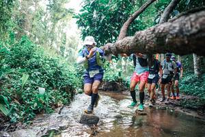 BIB: 
                            <button type="button" onclick="openModal(25371972)" class="btn btn-primary btn-sm float-right btn-popup" data-toggle="modal" data-target=".modal-high-quality">
                        <i class="fas fa-shopping-cart"></i> Add to Cart
                    </button>
                                            <button type="button" onclick="isThisMe(25371972, true)" class="btn btn-success btn-sm float-right btn-popup btn-isme hidden" data-toggle="tooltip" data-placement="bottom" title="นี่คือรูปของคุณใช่ไหม คลิกที่นี่เพื่อเอาเข้าอัลบั้ม">
                        <i class="fas fa-plus"></i> Add to album
                    </button>
                    <button type="button" onclick="isThisMe(25371972, false)" class="btn btn-warning btn-sm float-right btn-popup btn-isnotme hidden">
                        <i class="fas fa-ban"></i> Remove from album
                    </button>